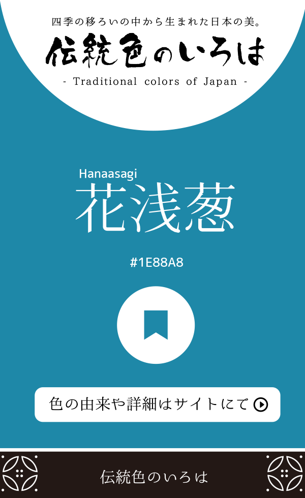 花浅葱（Hanaasagi）